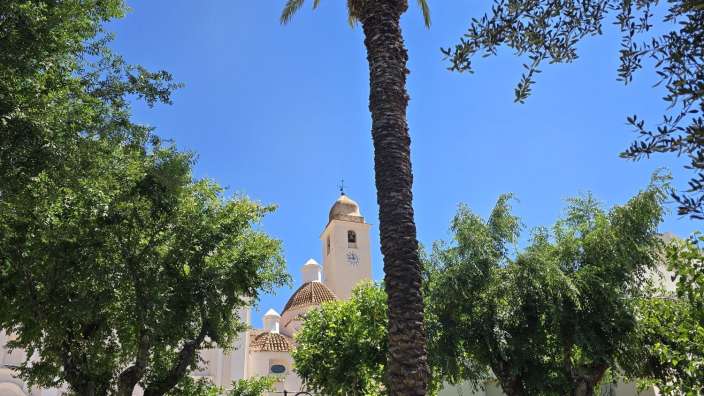 Ein hoher, schlanker Palmenstamm ragt gegen einen strahlend blauen Himmel auf, umgeben von üppig grünen Bäumen und mit einem Kirchenschiff im Hintergrund.