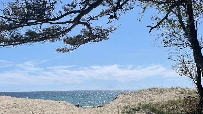 Ein Strand mit Sanddünen und Bäumen unter blauem Himmel und Blick auf das Meer.