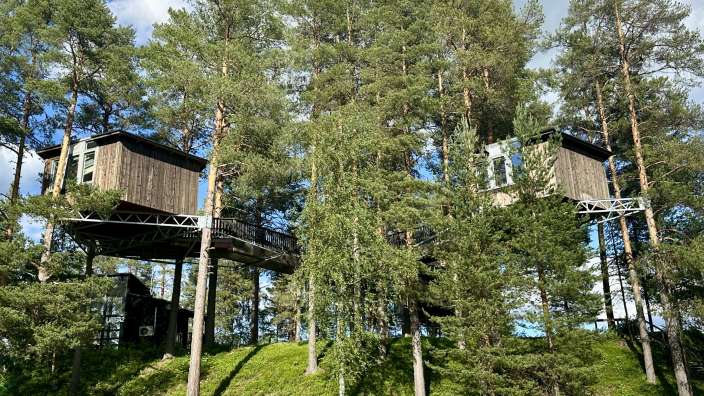 Zwei Baumhäuser sind auf Stelzen in einem Wald gebaut, verbunden durch eine Brücke.