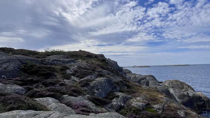 Ein felsiger Küstenabschnitt mit vereinzelter Vegetation und einem Meer unter einem bewölkten Himmel.