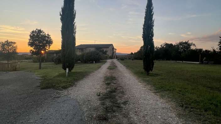 Eine Schotterstraße führt im Abendlicht an zwei Zypressen vorbei auf ein Landhaus bei Siena zu.