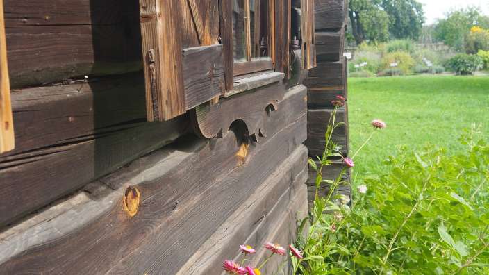 Ein hölzernes Blockhaus im Freilichtmuseum in Estland mit geöffneten Fensterläden und Blumen im Garten.