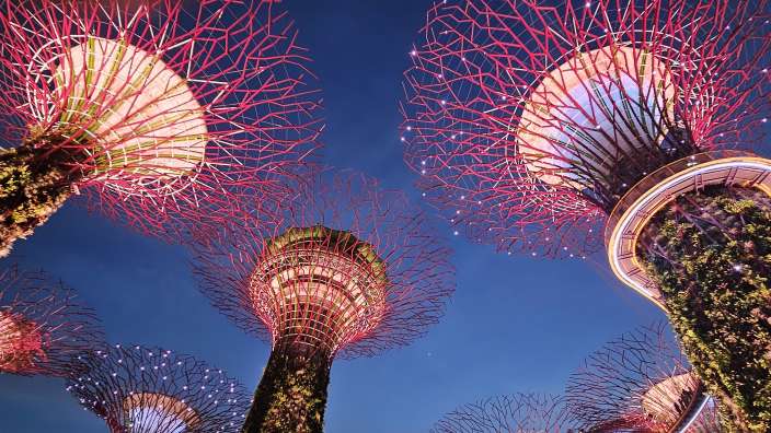 Garden Rhapsody Lichtshow Singapur