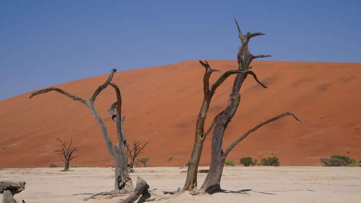 Sossusvlei / Deadvlei