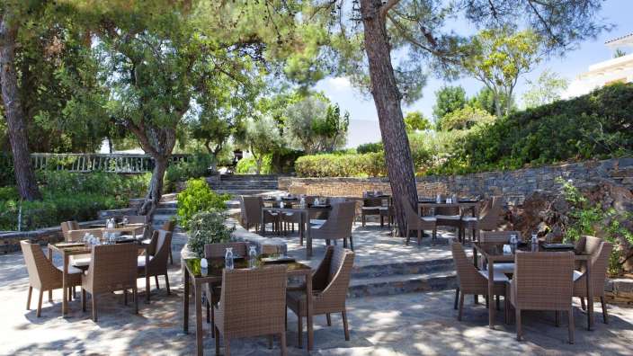 Tische und Stühle auf einer Terrasse mit Bäumen im Hintergrund