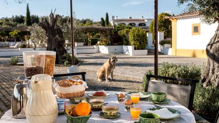 Ein Hund sitzt neben einem Tisch mit Frühstücksgegenstand