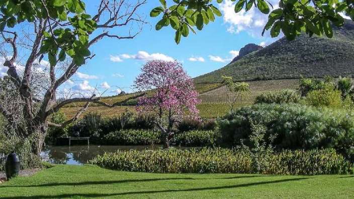 Ein Garten mit einem Teich, einem Baum und einem Berg im Hintergrund .