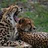 Carsten und Melanie