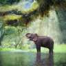 Ein Elefant steht in einem Fluss und trinkt Wasser