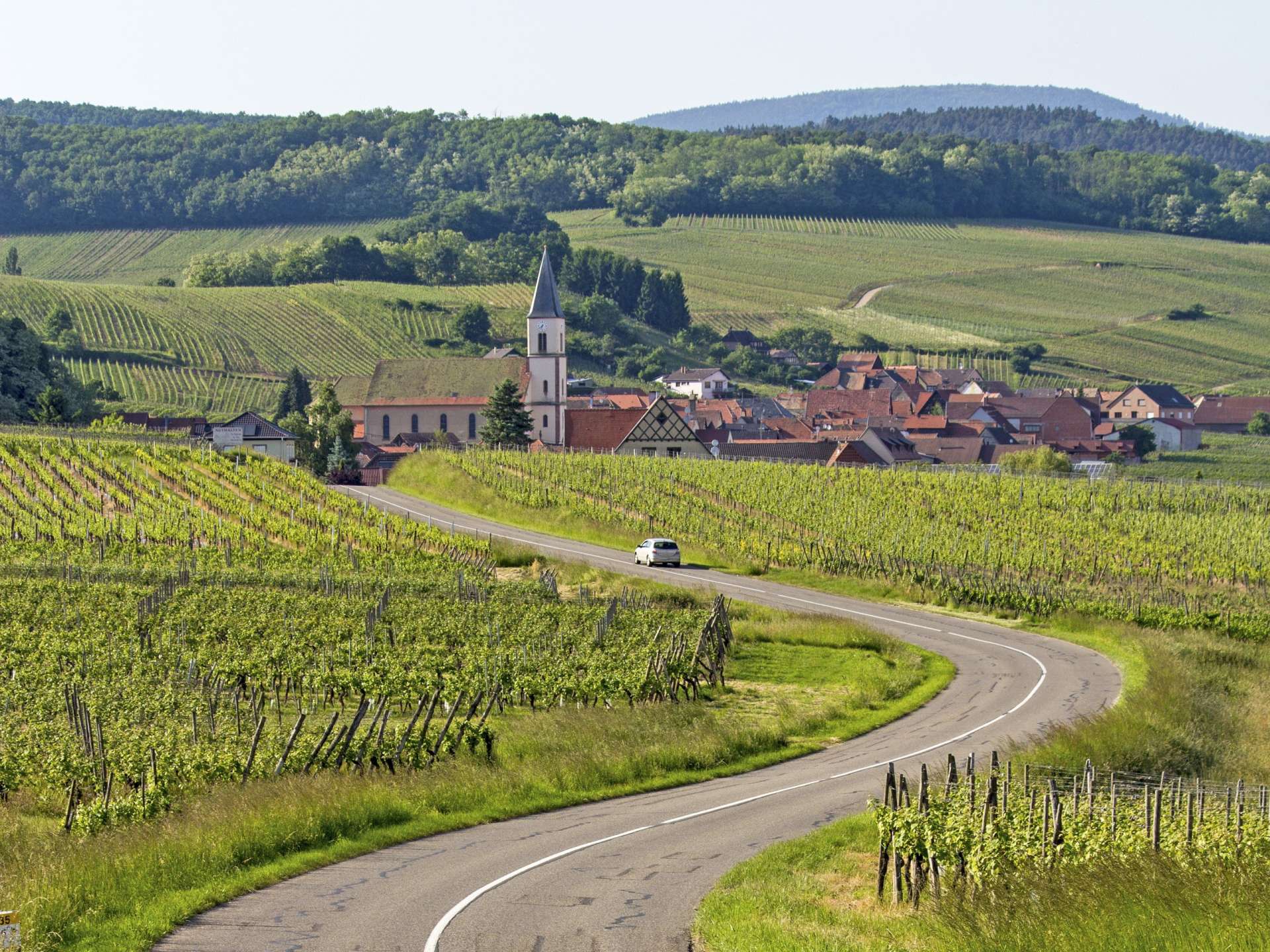 Ein weißes Auto fährt auf einer kurvenreichen Straße durch Weinberge